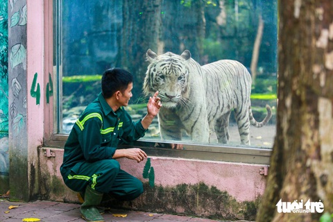 Thảo cầm viên Sai Gòn: Nơi hội tụ động vật quý hiếm và tình yêu của người dân - Ảnh 6.