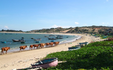 Ninh Thuận chuẩn bị làm điện hạt nhân - Ảnh 1. Ninh Thuận chuẩn bị làm điện hạt nhân - Ảnh 1.