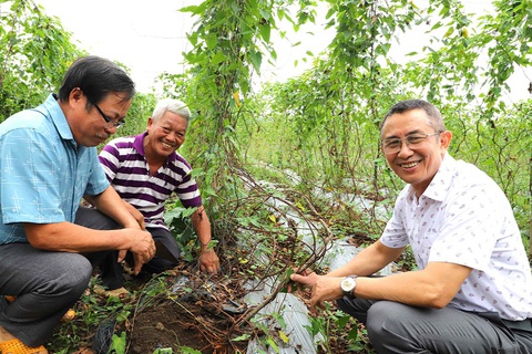 Xây dựng vùng trồng và chế biến hà thủ ô ở Đồng Nai - Ảnh 1. Xây dựng vùng trồng và chế biến hà thủ ô ở Đồng Nai - Ảnh 1.