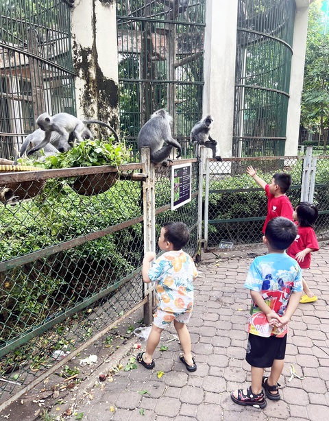Nợ 800 tỉ đồng tiền thuê đất: Xót xa cho Thảo cầm viên Sài Gòn - Ảnh 4. Nợ 800 tỉ đồng tiền thuê đất: Xót xa cho Thảo cầm viên Sài Gòn - Ảnh 4.