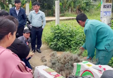 Bật cười cảnh nông dân Quảng Nam đào lỗ đổ nước, rượt bắt chuột đồng - Ảnh 6.
