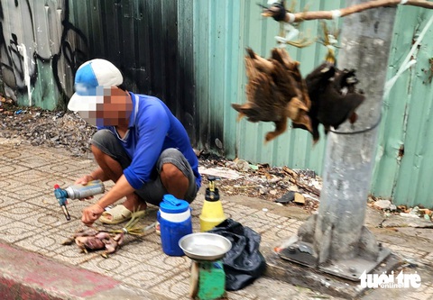 Xót xa chim trời bị treo ngược, làm thịt bán tại vỉa hè TP.HCM - Ảnh 1.