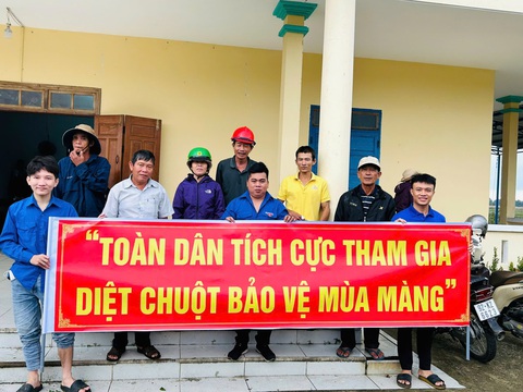 Nông dân Quảng Nam túm tụm đào lỗ đổ nước, rượt bắt chuột đồng - Ảnh 6.