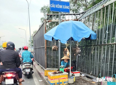 Chim trời bị treo ngược, vặt lông ở TP.HCM: - Ảnh 1.