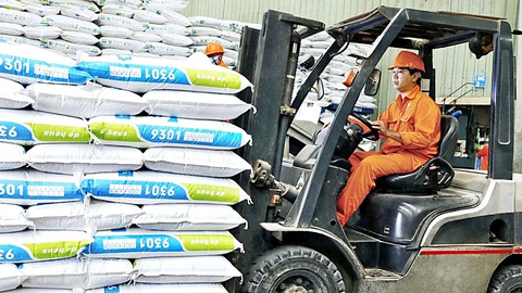 Doanh nghiệp thức ăn chăn nuôi ngồi trên đống lửa vì rối mã HS - Ảnh 1.