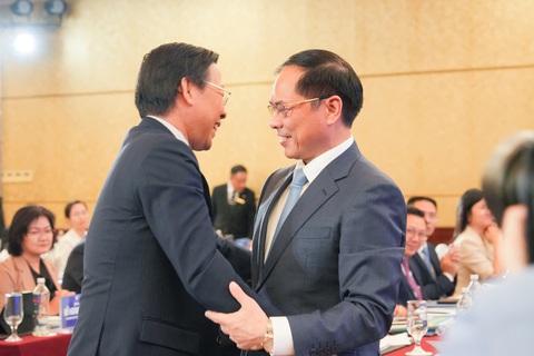 Bộ Ngoại giao đặt hàng Sở ngoại vụ giúp nâng tầm TP.HCM - Ảnh 4. TP.HCM cần tiên phong trong ngoại giao bán dẫn, ngoại giao số - Ảnh 3.