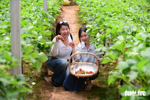 Du lịch nội địa