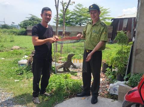 Những hành động góp sức bảo vệ động vật hoang dã - Ảnh 2. Những hành động góp sức bảo vệ động vật hoang dã - Ảnh 2.