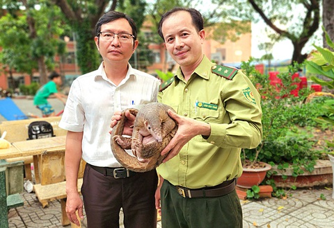 Những hành động góp sức bảo vệ động vật hoang dã - Ảnh 1. Những hành động góp sức bảo vệ động vật hoang dã - Ảnh 1.