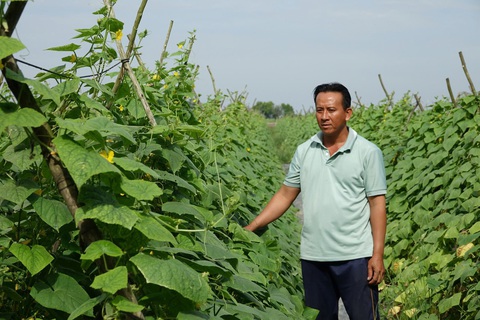 Kiên Giang: Nông thôn mới giúp nâng cao đời sống người dân - Ảnh 1. Kiên Giang: Nông thôn mới giúp nâng cao đời sống người dân - Ảnh 1.