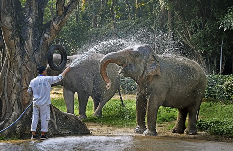 Sở Tài nguyên và Môi trường TP.HCM thông tin tiến độ tháo gỡ khó khăn cho Thảo Cầm Viên - Ảnh 1.