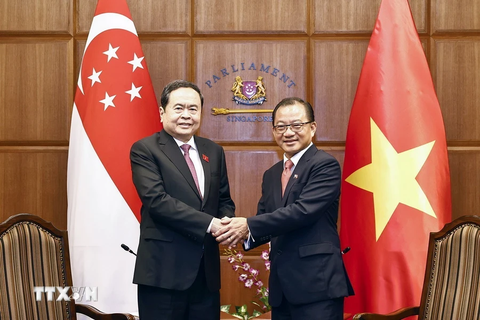 Đề nghị Singapore tiếp tục hỗ trợ đào tạo cán bộ cấp chiến lược cho Việt Nam - Ảnh 1.