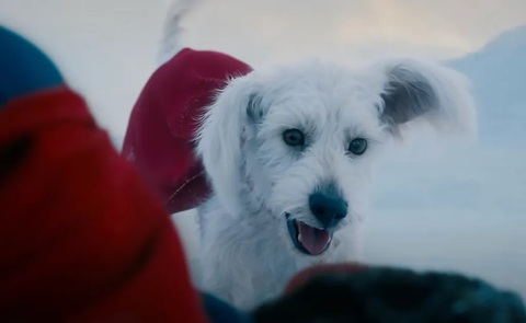 Giải mã các nhân vật, chi tiết thú vị trong trailer Superman - Ảnh 2. Giải mã các nhân vật, chi tiết thú vị trong trailer Superman - Ảnh 2.
