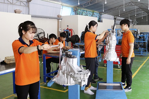 Tin tức sáng 22-12: Không làm thủ tục cấp, đổi giấy phép lái xe trong thời gian bị tước bằng - Ảnh 2.