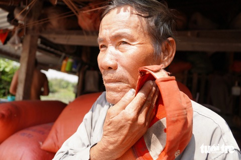 Mùa lúa vàng ở 'đất kim cương' - Ảnh 3. Gặt lúa mùa vàng ở 'đất kim cương' sát bờ sông Sài Gòn - Ảnh 6.