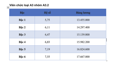 Chi tiết bảng lương viên chức năm 2025 - Ảnh 3.