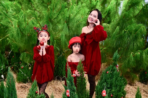 Giáng sinh tràn ngập phố phường - Ảnh 2. Giáng sinh tràn ngập phố phường - Ảnh 2.