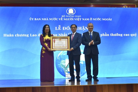 Phó thủ tướng Bùi Thanh Sơn: Tạo thuận lợi cho kiều bào về nước đầu tư, kinh doanh - Ảnh 1.