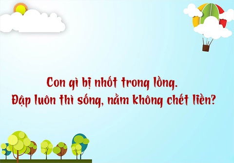 Tỉnh nào Việt Nam trong tên có chứa cả trên trời và dưới biển? - Ảnh 3.