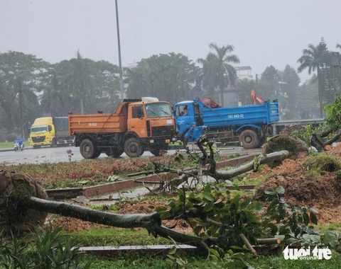 Quảng trường TP Quảng Ngãi thi công giữa trời mưa, tái diễn cảnh thấy 'đào' là thấy Tết - Ảnh 4.