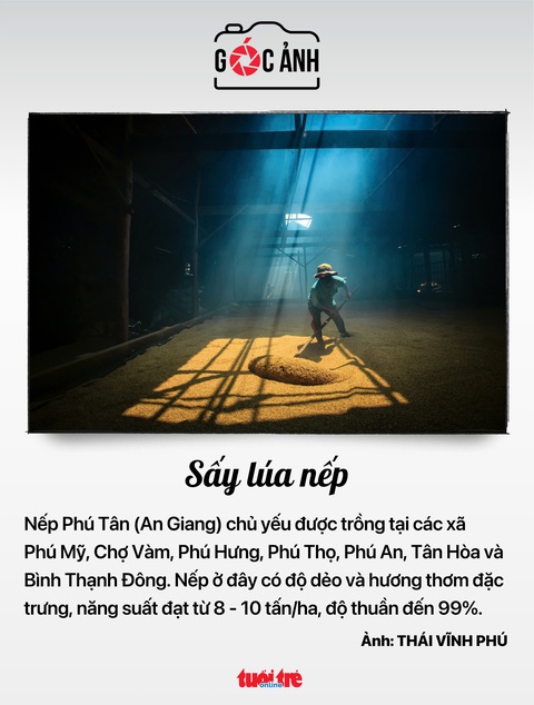 Tin tức sáng 30-12: - Ảnh 3. Tin tức sáng 30-12: Công ty con trai ông Phạm Nhật Vượng là đơn vị cho thuê xe lớn nhất Việt Nam - Ảnh 8.
