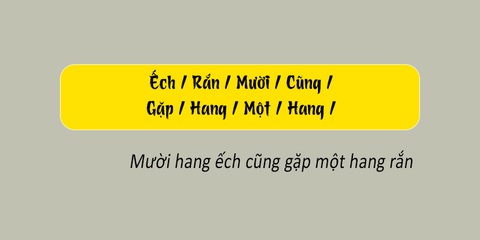 Thử tài tiếng Việt: Sắp xếp các từ sau thành câu có nghĩa (P166) - Ảnh 1.