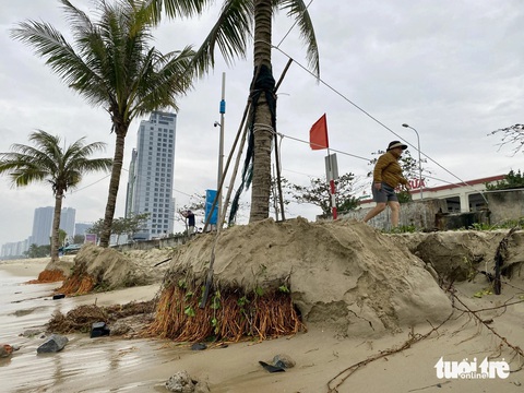 Ba điểm sạt lở trên bờ biển du lịch phía Đông Đà Nẵng - Ảnh 1.