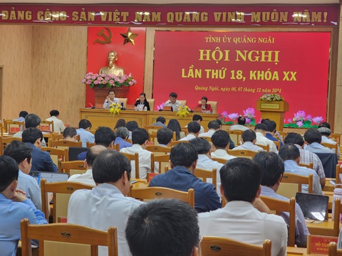 Vượt khó, Quảng Ngãi đạt và vượt 25/25 chỉ tiêu kinh tế xã hội - Ảnh 2.