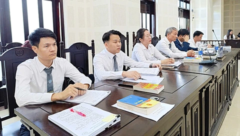 Không sáp nhập Đoàn luật sư với Hội Luật gia - Ảnh 1. Không sáp nhập Đoàn luật sư với Hội Luật gia - Ảnh 1.