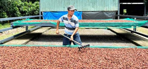 Đồng Nai: 'xây dựng nông thôn mới' về đích sớm - Ảnh 1. Đồng Nai: 'xây dựng nông thôn mới' về đích sớm - Ảnh 1.