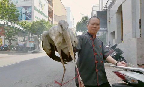 Ám ảnh, rùng rợn, đừng ăn thịt chim hoang dã nữa - Ảnh 5. Kênh YouTube Best Ever Food Review Show gây ám ảnh vì quay cảnh làm thịt chim hoang dã - Ảnh 5.