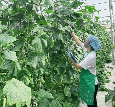 Người Nhật mở công ty cung cấp thực phẩm ở Việt Nam huy động gần 8 triệu USD - Ảnh 1.