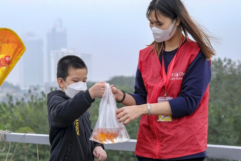 Hăm ba ông Táo chầu trời, bình vôi ở lại chịu đời đắng cay- Ảnh 5. Thả cá chép ở Hà Nội năm 2022 - Ảnh: HÀ QUÂ N