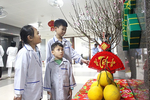 Bệnh nhi trang trí Tết tại Viện Huyết học và Truyền máu trung ương (Hà Nội) - Ảnh: DƯƠNG LIỄU Bệnh nhi trang trí Tết tại Viện Huyết học và Truyền máu trung ương (Hà Nội) - Ảnh: DƯƠNG LIỄU