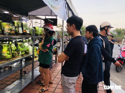 Tiểu cảnh lồng kính lần đầu ra chợ hoa xuân hút khách- Ảnh 5. Theo anh Cường, để tạo ra một bể terrarium phải tốn rất nhiều thời gian, vì đặc thù của những bể này là không thể làm đại trà - Ảnh: LỆ THÀNH