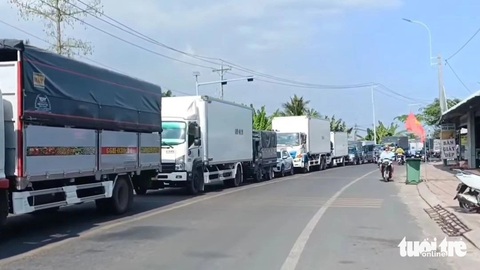 Phà Đình Khao kẹt dài nhiều ngày, tính cách bán vé lưu động- Ảnh 1. Phà Đình Khao kẹt dài gần 2km phía bờ Bến Tre - Ảnh: CHÍ HẠNH