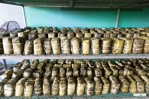 Bí quyết gia truyền của làng làm bánh chưng 'xanh như ngọc'- Ảnh 2. Mỗi ngày, lò bà Vinh sản xuất 1.000 cái bánh, cung ứng khắp cả nước - Ảnh: HOÀNG TÁO