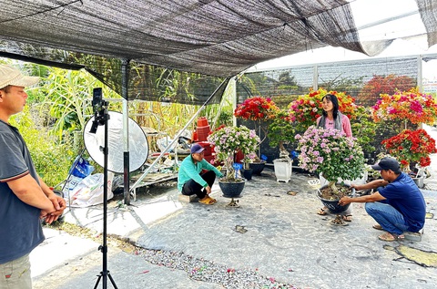 Cách bán hoa Tết, tranh luận muôn thuở- Ảnh 2. Nhóm nông dân livestream bán hoa kiểng tại cơ sở cây cảnh Sa Đéc, huyện Lấp Vò, tỉnh Đồng Tháp - Ảnh: ĐẶNG TUYẾT