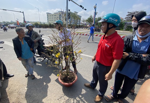 Gốc mai Bình Định được ngã giá giữa người bán với người mua, rồi chốt đơn khi có sự tiếp lời của người chở thuê - Ảnh: B.D.