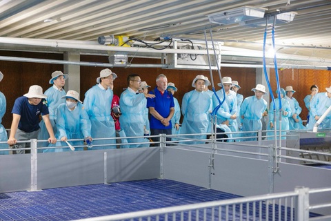 Khánh thành trang trại nuôi heo công nghệ cao Vina Farm - Tây Ninh 1- Ảnh 2. Khánh thành trang trại nuôi heo công nghệ cao Vina Farm - Tây Ninh 1- Ảnh 2.