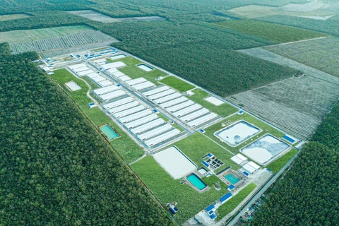 Khánh thành trang trại nuôi heo công nghệ cao Vina Farm - Tây Ninh 1- Ảnh 3. Khánh thành trang trại nuôi heo công nghệ cao Vina Farm - Tây Ninh 1- Ảnh 3.