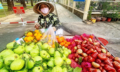 Chị Hạnh không về quê mà ở lại ăn Tết thành phố để tiếp tục buôn bán - Ảnh: MẠNH DŨNG Chị Hạnh không về quê mà ở lại ăn Tết thành phố để tiếp tục buôn bán - Ảnh: MẠNH DŨNG