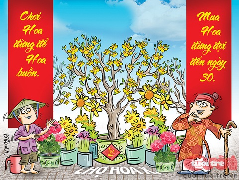 'Cuộc chiến' giá hoa Tết chưa bao giờ bớt căng thẳng- Ảnh 1. Mua hoa đừng đợi đến ngày 30 - Tranh: Đức Thuận