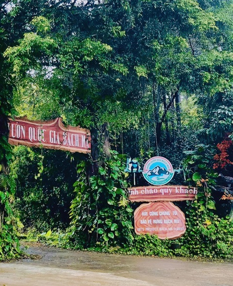 Tết về Bạch Mã, thưởng ngoạn hết miền 'đại ngàn ngựa trắng'- Ảnh 2. Cổng vào vườn quốc gia Bạch Mã.