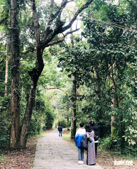 Du xuân dưới tán rừng độc đáo Lam Kinh- Ảnh 5. Check-in dưới tán rừng cùng người thân - Ảnh: ĐOÀN CƯỜNG