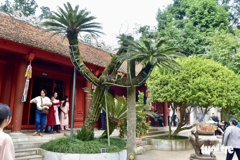 Cây vạn tuế (trước chùa Thiên Quang) được ước tính đã 800 tuổi. Đây là một trong những cây có tuổi đời cao nhất ở đền Hùng. Cây cao hơn 5 m, đường kính gốc khoảng 35 cm - Ảnh: T.T.D. Cây vạn tuế (trước chùa Thiên Quang) được ước tính đã 800 tuổi. Đây là một trong những cây có tuổi đời cao nhất ở Đền Hùng. Cây cao hơn 5m, đường kính gốc khoảng 35cm - Ảnh: T.T.D.