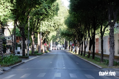 Đi cà phê bệt gần nhà thờ Đức Bà, dạo Đường sách ngày mùng 2 Tết- Ảnh 2. Đường Nam Kỳ Khởi Nghĩa (quận 3) thưa thớt xe cộ