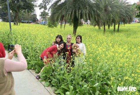 Cả nhà du xuân bên vườn hoa cải vàng - Ảnh: T.T.D. Cả nhà du xuân bên vườn hoa cải vàng