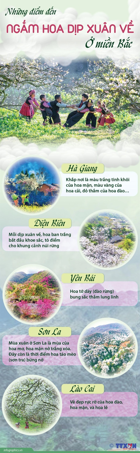 Những điểm đến ngắm hoa dịp xuân về ở miền Bắc Những điểm đến ngắm hoa dịp xuân về ở miền Bắc
