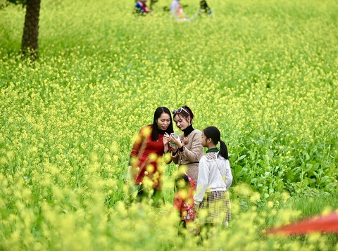 Cư dân mạng coi đây là “thiên đường sống ảo”. Nhiều người đến đây chụp ảnh mải miết cả tiếng không biết chán - Ảnh: T.T.D. Phần lớn mọi người đều thấy vui khi chụp được một khoảnh khắc đẹp lưu giữ kỷ niệm cho người đồng hành - Ảnh minh họa: T.T.D.